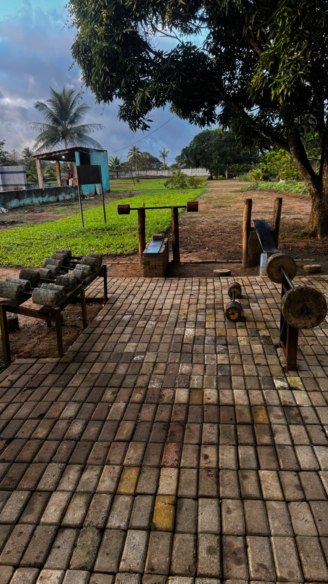 Academia ao ar livre com barras e pesos de concreto sob as árvores