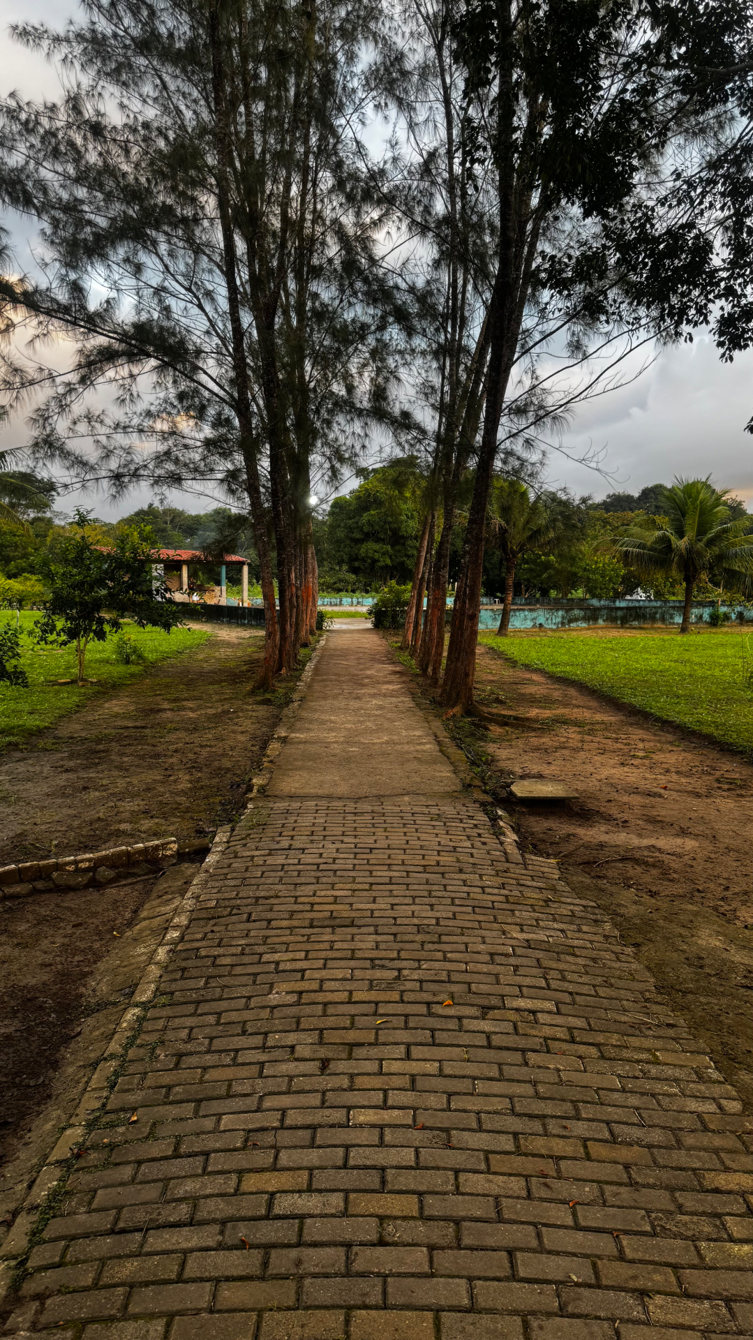 Alameda de pedras entre árvores no Projeto Milagres